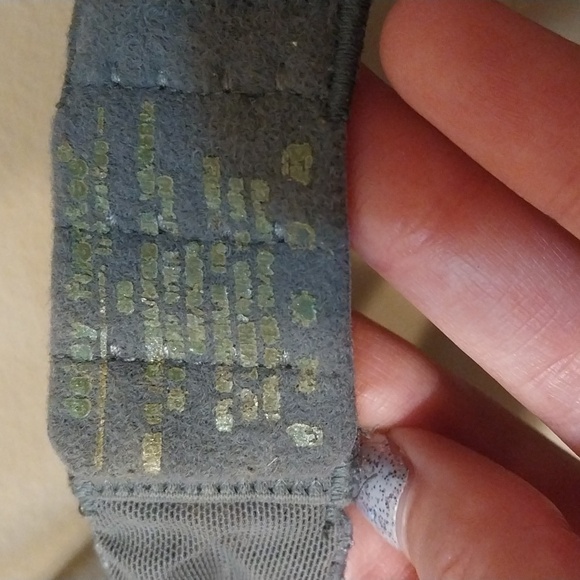 36B Daisy Fuentes Pushup Bra - Picture 5 of 8